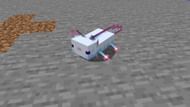 Axolotls (Image via Minecraft)